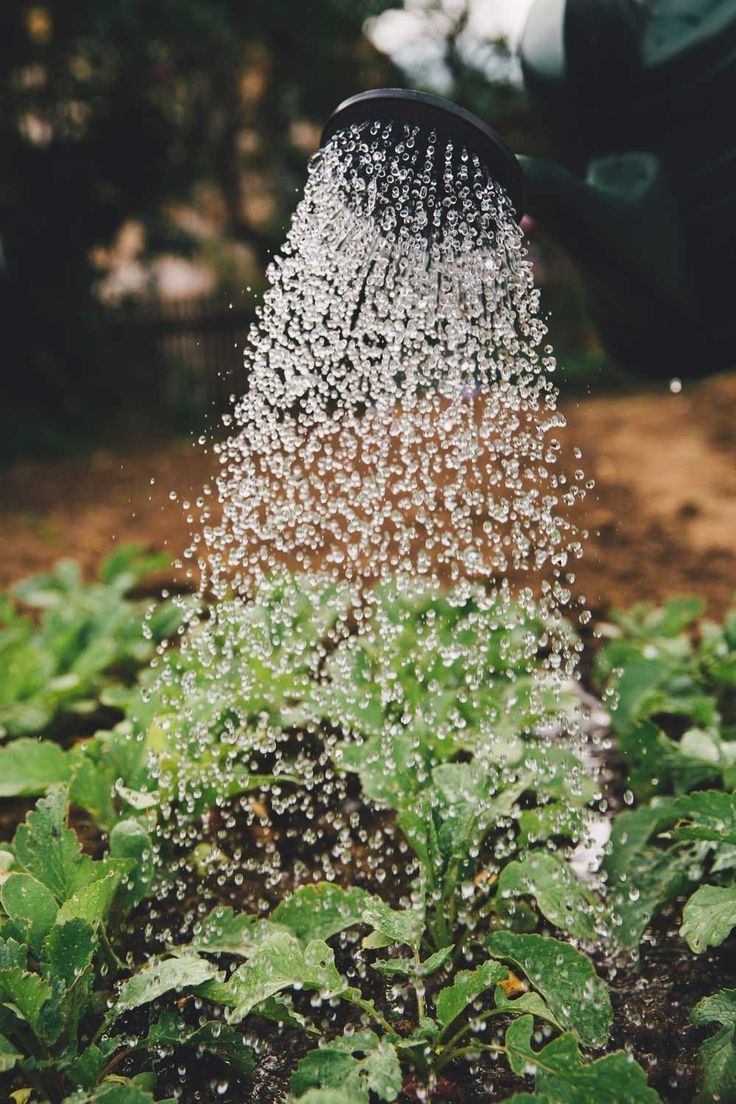 Sustainable Farming Practices