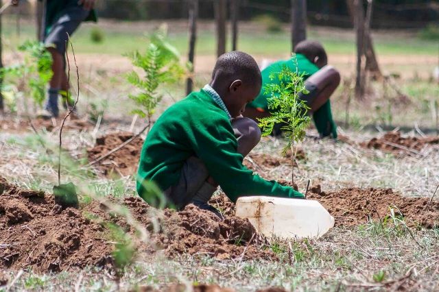 Community Tree Planting